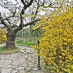 Douceur Di'vignes - Appt Avec Piscine Апартаменты