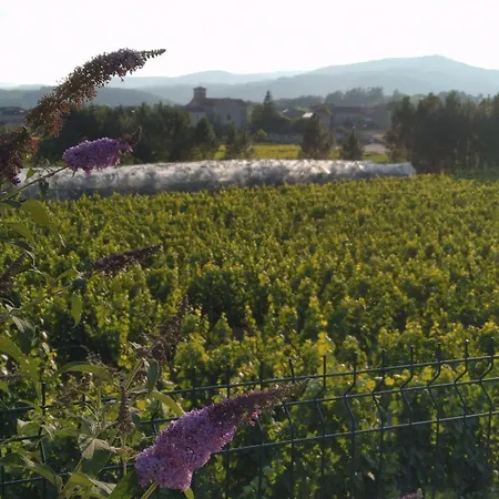 Douceur Di'vignes - Appt Avec Piscine * Rosières